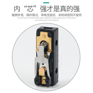 Micro-interrupteurs de fin de course Az 7311 7312 7310 7121 7141 7144 7100 à bornes à vis 10A 250V IP40 Corps en acier - Product Image 5