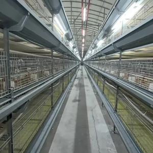 L'alta qualità Q235 acciaio zincato rete metallica per il pollo uccelli pollame batteria gabbia di Broiler direttamente dalla cina - Product Image 3