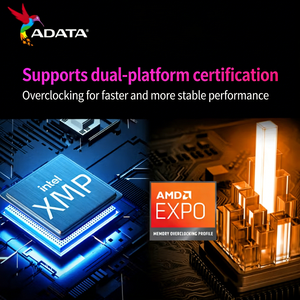 NUEVA Memoria RAM XPG D300 16G CL28 Negra DDR5 6000MHz Hynxi A-die UDIMM ECC para Computadora de Escritorio, en Stock, Especialmente Diseñada - Product Image 2