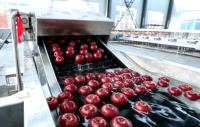 Volledig automatische fruitwas-, was-, droog-, sorteerlijn voor sinaasappels, appels, avocado's, drakenvruchten; machine voor maat- en gewichtsselectie en verwerking.
