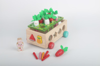 Voiture de ferme éducative en bois Montessori, jeu de récolte de carottes, blocs en bois, trieur de formes, jouets pour bébés