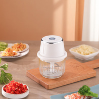 Mini hachoir à ail 45W, hachoir à ail, robot culinaire ménager, préparateur de nourriture pour bébé, moulin à ail, hachoir à viande