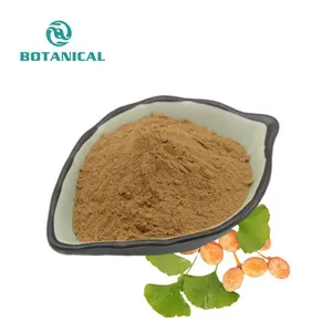 Top Quality Ginkgo Biloba Leaf Extract Powder 24% Flavonoids 6% Saponins Ginkgo Biloba Extract
