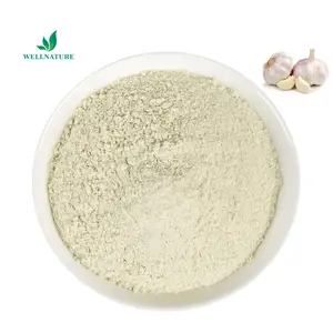 Factory Supply Organic Garlic Powder Allium sativum Extract Alliin Garlic Extract Powder