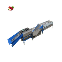 Fruit Sizer Grader Blueberry Grading Sorting Avocado Fruit Sorting Calibrating Machine