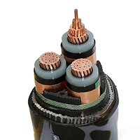 Cable de Alimentación con Aislamiento de PVC y Núcleo de Cobre de 4x120 mm² con Clasificación IP65 para Construcción, Resistente a la Intemperie y de Uso Versátil