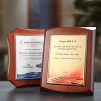 Trophée en cristal personnalisé de haute qualité, écologique, minimaliste, imprimé UV, plaque de la marque Liuguang