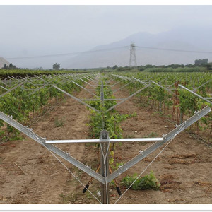 Langlebiges verzinktes Stahl-Metall-Trellis-System für Weinplantagen, Y-förmige offene Giebelpfosten, silberfarben, umweltfreundlich - Product Image 2