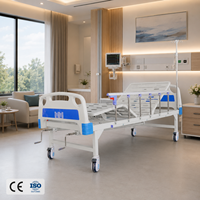 Lit médical à double manivelle en métal, lit manuel pour patients, adapté aux cliniques médicales et aux hôpitaux généraux