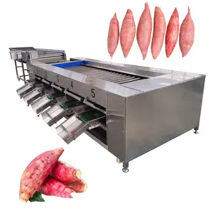 Satılık otomatik meyve kiraz domates derecelendirme sıralama makinesi