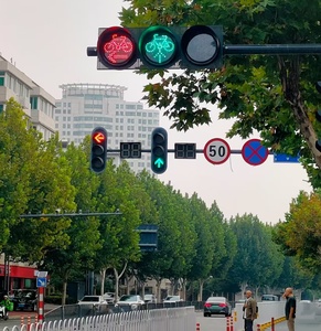 Feux de signalisation routière à LED Full Ball 12-24V DC 100-277V AC 300mm avec flèche directionnelle, couleurs rouge/jaune/vert pour la sécurité routière - Product Image 1