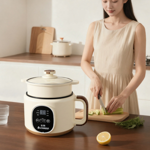 Casserole électrique instantanée YUEDISI avec prise personnalisée, 18 cm, 450 W, contrôle manuel, cuisson, poêles électriques antiadhésives - Product Image 4