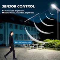 Lampadaire Solaire Extérieur Tout-en-un Étanche 100W 150W 200W à LED – Offre Spéciale