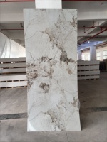 Panneau mural en PVC brillant 1220x2440mm 2mm / Prix de la feuille de marbre PVC UV