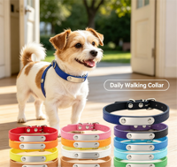 Collier-Écharpe Moderne de Luxe Simple Couleur Bonbon pour Chiots, Design Élégant Uni, Fermeture à Boucle en Cuir PU Haut de Gamme pour Petits Chiens et Chats