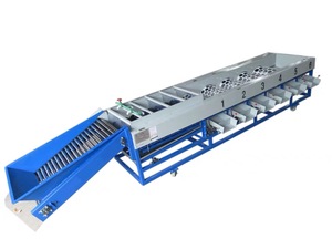 Máquina automática de alta capacidad para clasificar tomates y granos de café para mayoristas - Product Image 5