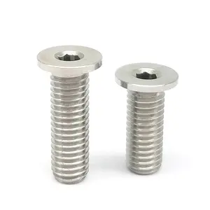 Custom Made CBSTS2 2.5 3 4 5 6 Head Thickness 1.5mm Extra Low Head Cap Stainless Steel Screws