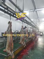 Machine d'abattage automatique de moutons, ligne d'abattage halal pour moutons, machinerie d'abattoir de moutons