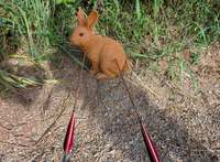 Cibles 3D d'animaux pour le tir à l'arc de chasse (ours, renard) – Cibles de tir à l'arc traditionnel en plein air, imperméables