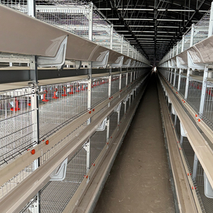Bán Hàng Nóng H Loại Tự Động Lớp Gà Gia Cầm Nuôi Lồng Mới Được Sử Dụng Điều Kiện Lưới Lồng Pin Cho Thỏ Bán Lẻ Ngành Công Nghiệp - Product Image 2