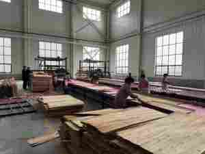 Línea de Producción de Madera Contrachapada YUEQUN, Máquina Pavimentadora Venener para Paneles a Base de Madera, Maquinaria Nueva - Product Image 5