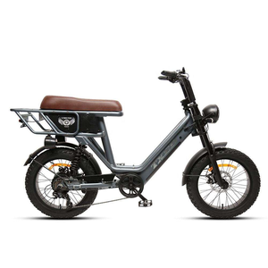 New Arrival 20 Inch <b>Frame</b> Suspension Hydraulic Disc Brakes Brushless 48V 15Ah Lithium Battery MotorcycleStyle <b>Ebike</b> Patented - Product Image 5