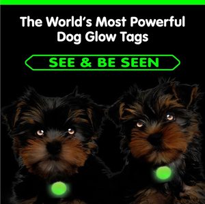 Collier lumineux en silicone vert phosphorescent pour petits animaux, avec pendentif rond gravable pour animaux de compagnie, style mode - Product Image 2