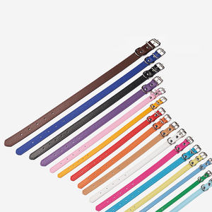 Verstellbare modische kleine mittelgroße Hunde Katzen Stilvolle Lieferungen Welpen Haustier PU-Halsband mit Alu-Schnallen kette - Product Image 4