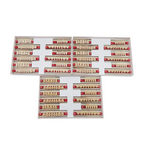 Dientes de Resina Acrílica para Toda la Boca, 28 Piezas/Juego, Dentadura Sintética Dental de Dos Capas - Product Image 6