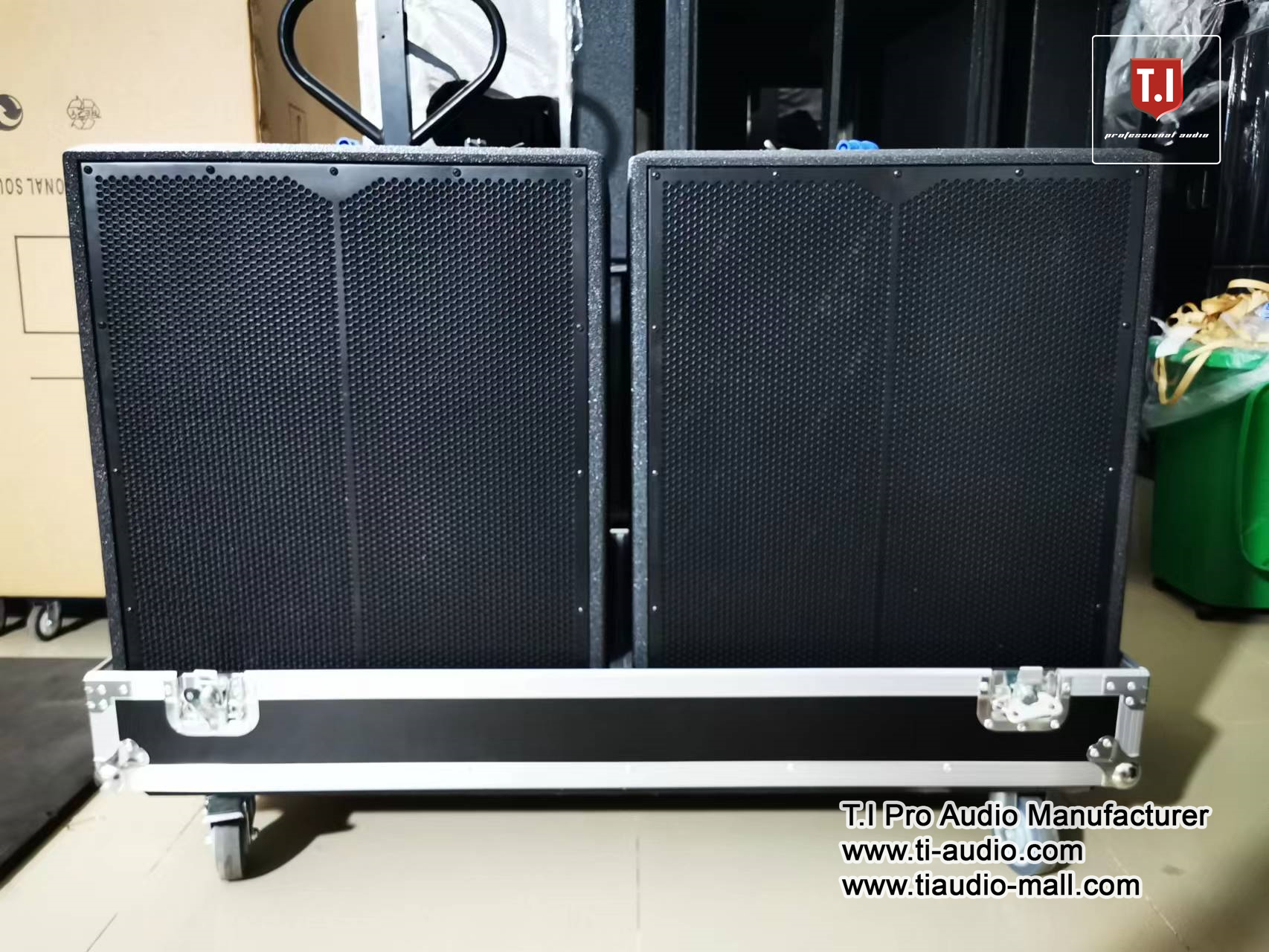 Alpha Green SUB-WOOFER　SS-2101平面スピーカーセット Alpha Green SUB-WOOFER SS-2101平面スピーカーセット