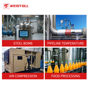 Высококачественные взрывозащищенные датчики высокой температуры 4-20 мА для промышленных температурных передатчиков - Product Image 3