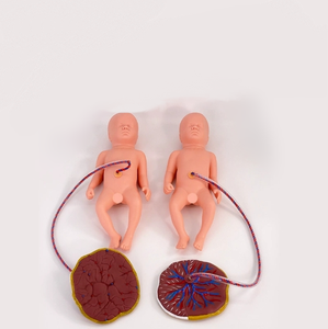 Doğum sırasında ebelik öğretmek için doğum modeli için gelişmiş kapsamlı beceri eğitim modeli - Product Image 4