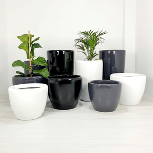 กระถางต้นไม้เซรามิกทันสมัยสีดำ ขาว เทา สำหรับตกแต่งบ้านภายใน - Product Image 1