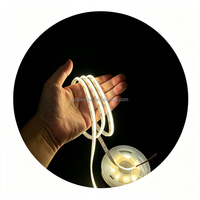 Bande lumineuse COB bicolore 12V 8mm 576 LED/m 3000K-6000K Blanc chaud Blanc IP20 Silicone auto-adhésif pour décoration Populaire
