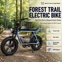 Vélo électrique tout-terrain style rétro avec pneus larges, porte-bagages arrière et batterie amovible pour concessionnaires et fournisseurs OEM