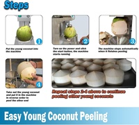 La Chine fabrique la machine d'épluchage de noix de coco à prix compétitif