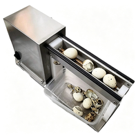 Machine à peler les œufs de caille électrique automatique pour usage domestique, mini décortiqueuse d'œufs de caille, petite décortiqueuse d'œufs d'oiseaux, en promotion