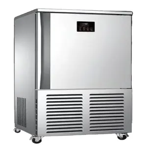 10 Trays 315L Quick Freeze Minus 80 Degree Compact Quick Freezer Impact Freezer Chocolate Quick Freezer