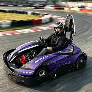 Go-Kart 2026 de Última Generación para Adultos y Adolescentes, 60 km/h, Alta Calidad, Comercial, para Drifting, con Motor sin Escobillas de 64V 2000W, Aurora Plu - Product Image 1