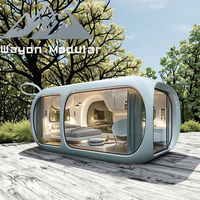 Cabine de jardin préfabriquée Wayon, structure en acier isolée moderne, pour studio de jardin, bord de lac