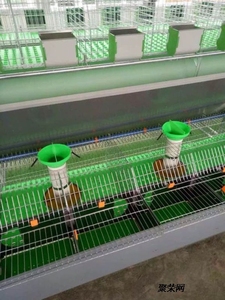 Cages <span class=keywords><strong>à</strong></span> lapins industrielles pour élevage commercial, <span class=keywords><strong>2</strong></span> <span class=keywords><strong>étages</strong></span>, avec loquets, en plastique et acier galvanisé, faciles <span class=keywords><strong>à</strong></span> nettoyer - Product Image 3