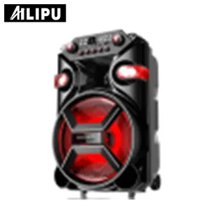 AILIPU brand new arrivals private mould 12inch party dance bt speaker with free wireless and small remote SP-1225D