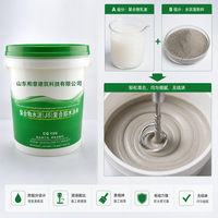 Fournisseur leader en Chine de peinture d'étanchéité au ciment JS pour projets de bâtiments commerciaux, fourniture de matériaux de construction à guichet unique