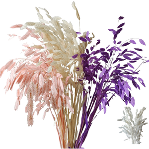 Flor Seca Preservada Eterna de Hope <span class=keywords><strong>Grass</strong></span> Pequeña (Chasmanthium Latifolium) con Conservación en Glicerina, Larga Duración 3-5 Años - Product Image 1