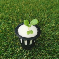 Pot Jaring Hidroponik Grosir, Cup Jaring Tanam, Pot Jaring Aquaponik, Keranjang 2 3 4 Inch untuk Bunga/Sayuran