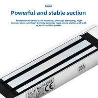 Serrure Électromagnétique Intelligente Étanche pour Grilles Intelligentes, Personnalisable en Gros, 60/180/280KG, Porte Simple, 60mm, 2 Clés, Cylindres de Verrouillage à Signalisation