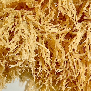 100% Pure Natural Organic Laver Dry Sea Moss Sabor dulce AD Procesado Bolsa de alta calidad Embalaje Buen precio/Serena - Product Image 1