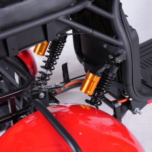 2025 EEC/COC Triciclos eléctricos certificados Adulto 2000W 3000W Asiento doble Scooters eléctricos de 3 ruedas Citycoco - Product Image 5