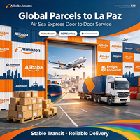 Transitaire Alibaba Amazon pour la Bolivie La Paz DDP Service de logistique express aérien et maritime porte-à-porte