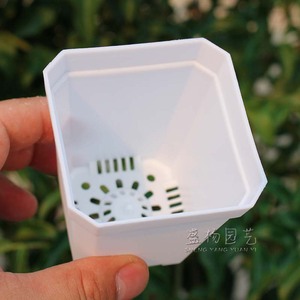 Nursery Pots Plastic <b>Square</b> Pot With Drainage Holes For Succulent Planting Indoor Outdoor Use - Product Image 2